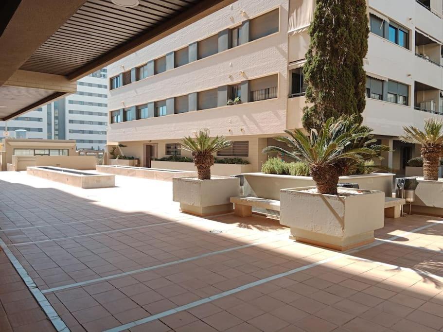 Litoral Apartment